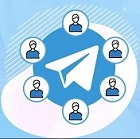 Telegram Members